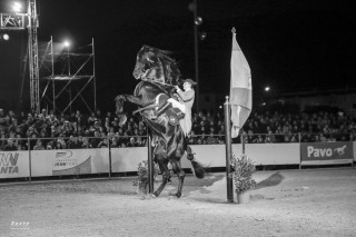 Foto del espectáculo ecuestre de la Feria 2015