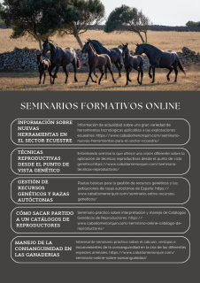 Seminarios verano 2024_redim