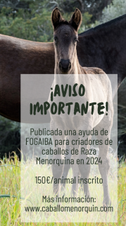 Ayuda nacimientos 2024_redim